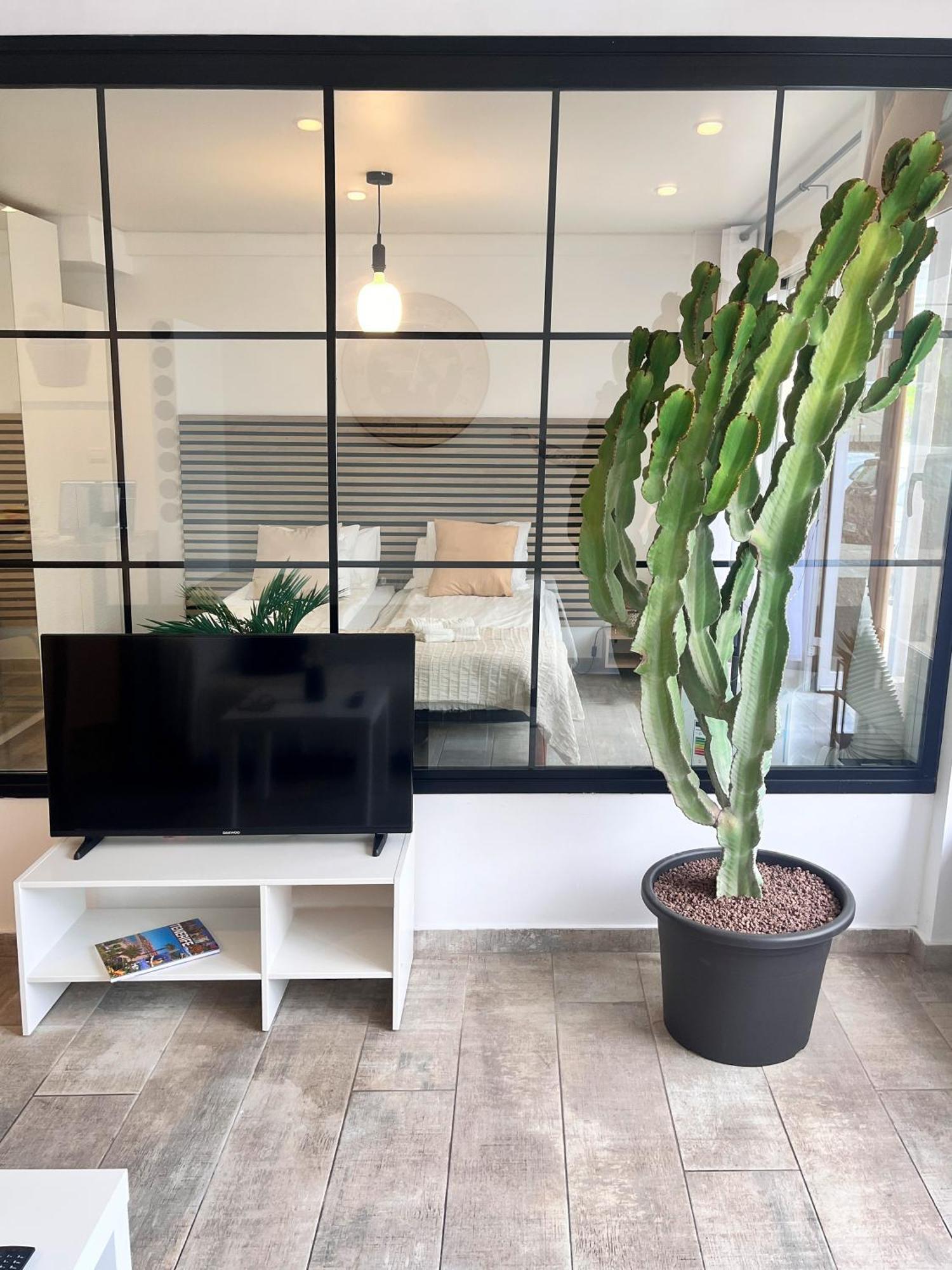 Apartment Cactus *